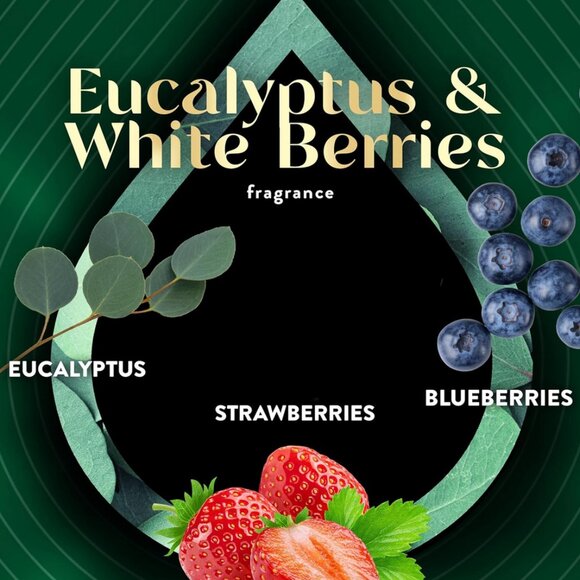 New✅Air Wick Vibrant Essential Oil Refill,Eucalyptus & Wild Berries bundle of 2! - Picture 1 of 6